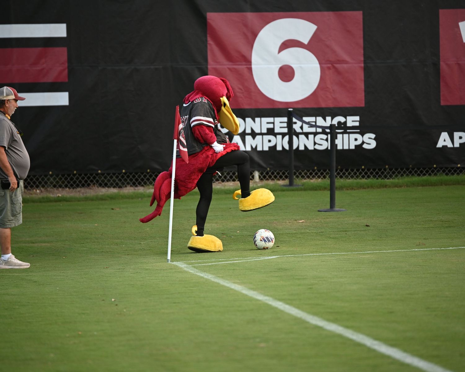 South Carolina Gamecock mascot taps a soccer ball near the corner flag.