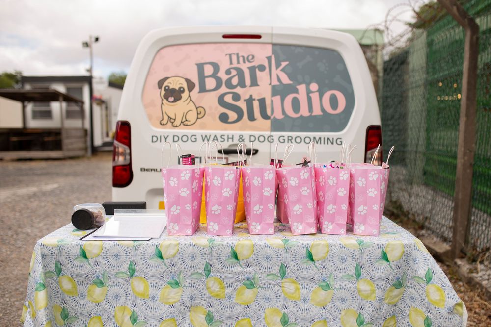 event photography by becca smith at little wonderland photography widnes cheshire north west UK