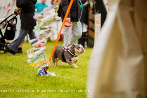 event photography by becca smith at little wonderland photography widnes cheshire north west UK
