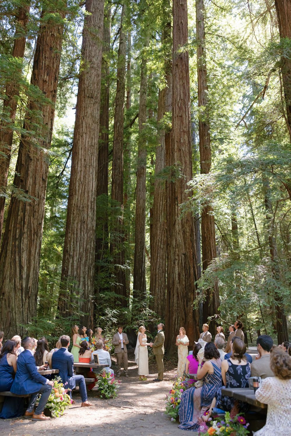 Outdoor wedding ceremony in a redwood forest with guests seated on benches surrounded by towering trees.