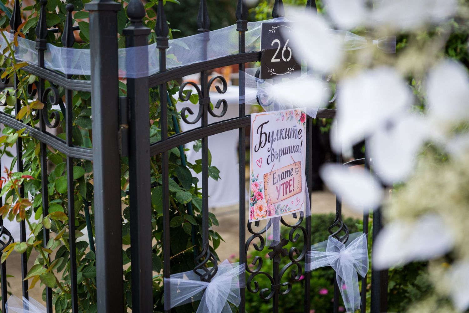 Black iron gate decorated with white bows and a floral sign, surrounded by lush green ivy at address number 26.