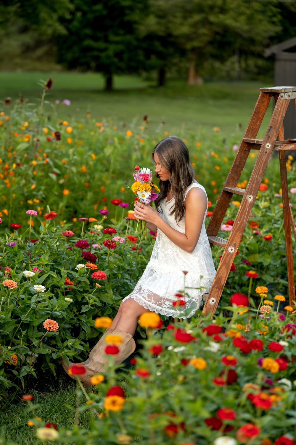 Young woman in white lace dress smelling colorful bouquet in vibrant zinnia flower field beside wooden ladder.
