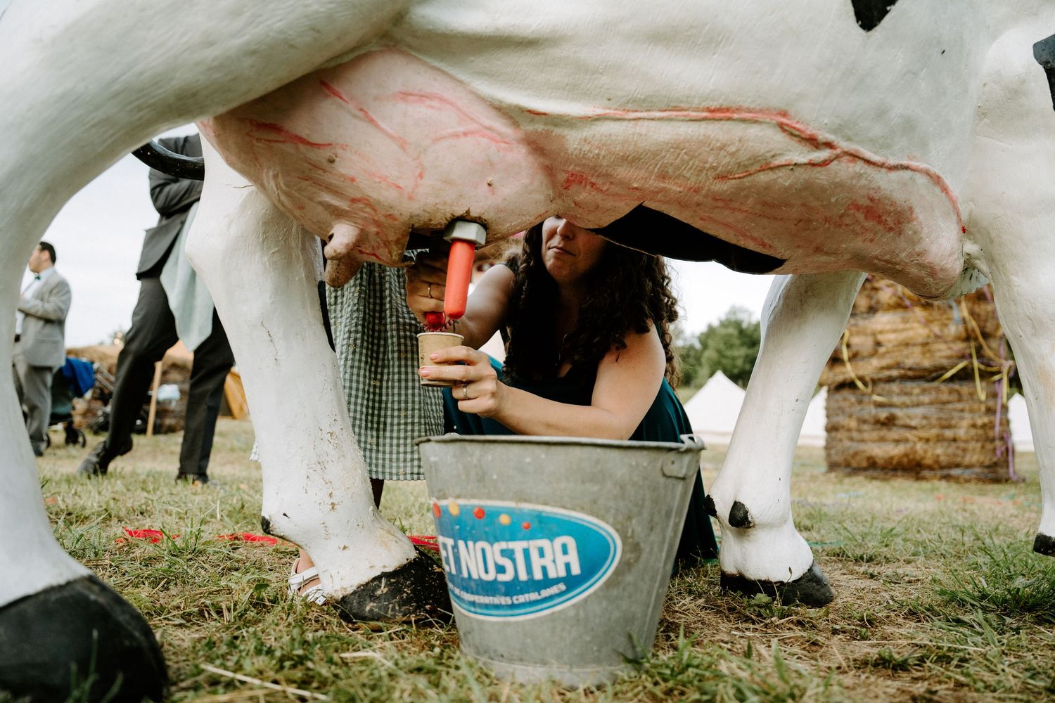 Woman milking a white cow into a metal bucket at an outdoor farm fair event.