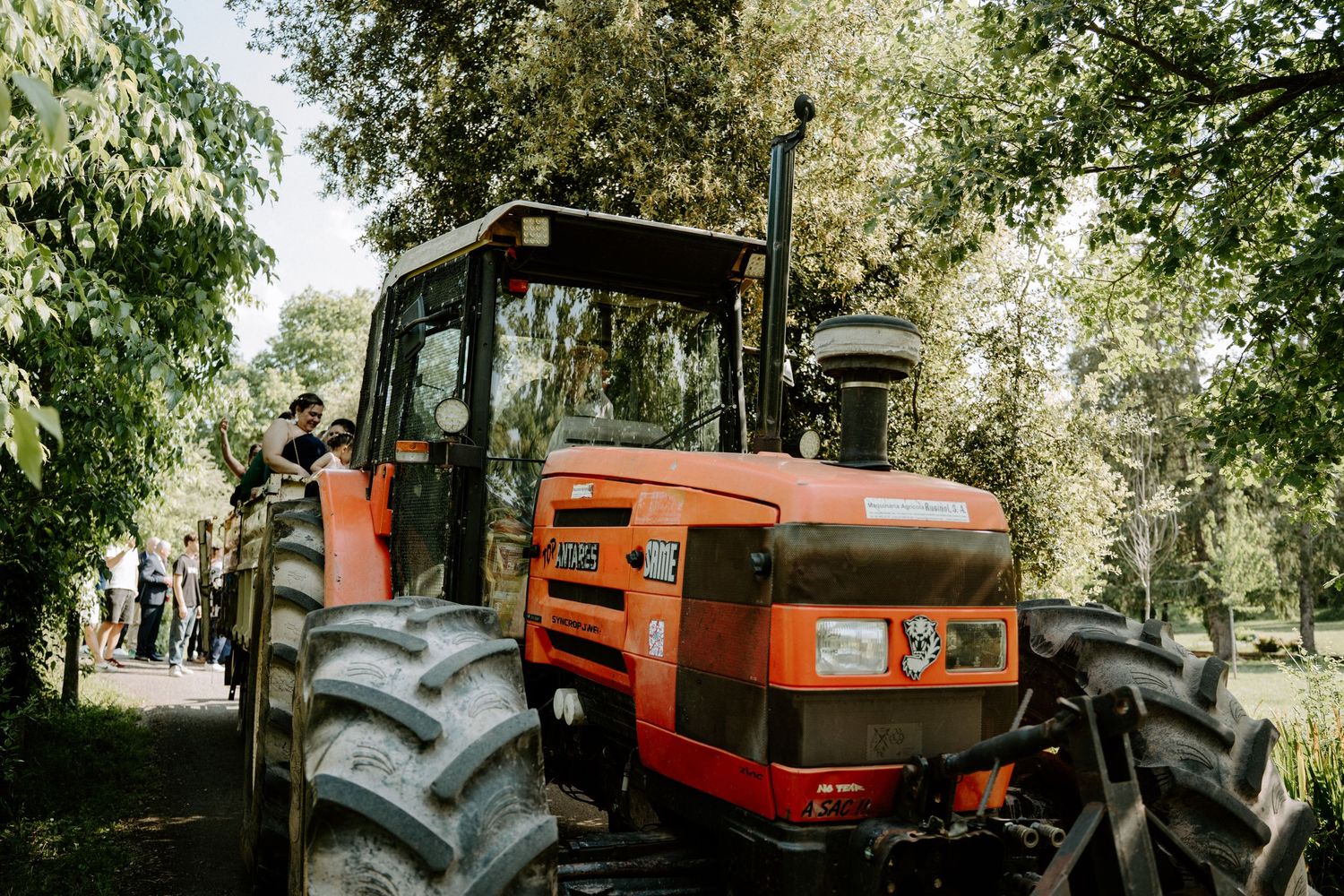 Orange farm tractor parked among trees at rustic outdoor wedding venue on sunny day.
