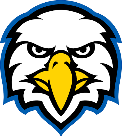 Bold eagle mascot logo with fierce expression, yellow beak, white feathers, and blue outline, ideal for sports teams.