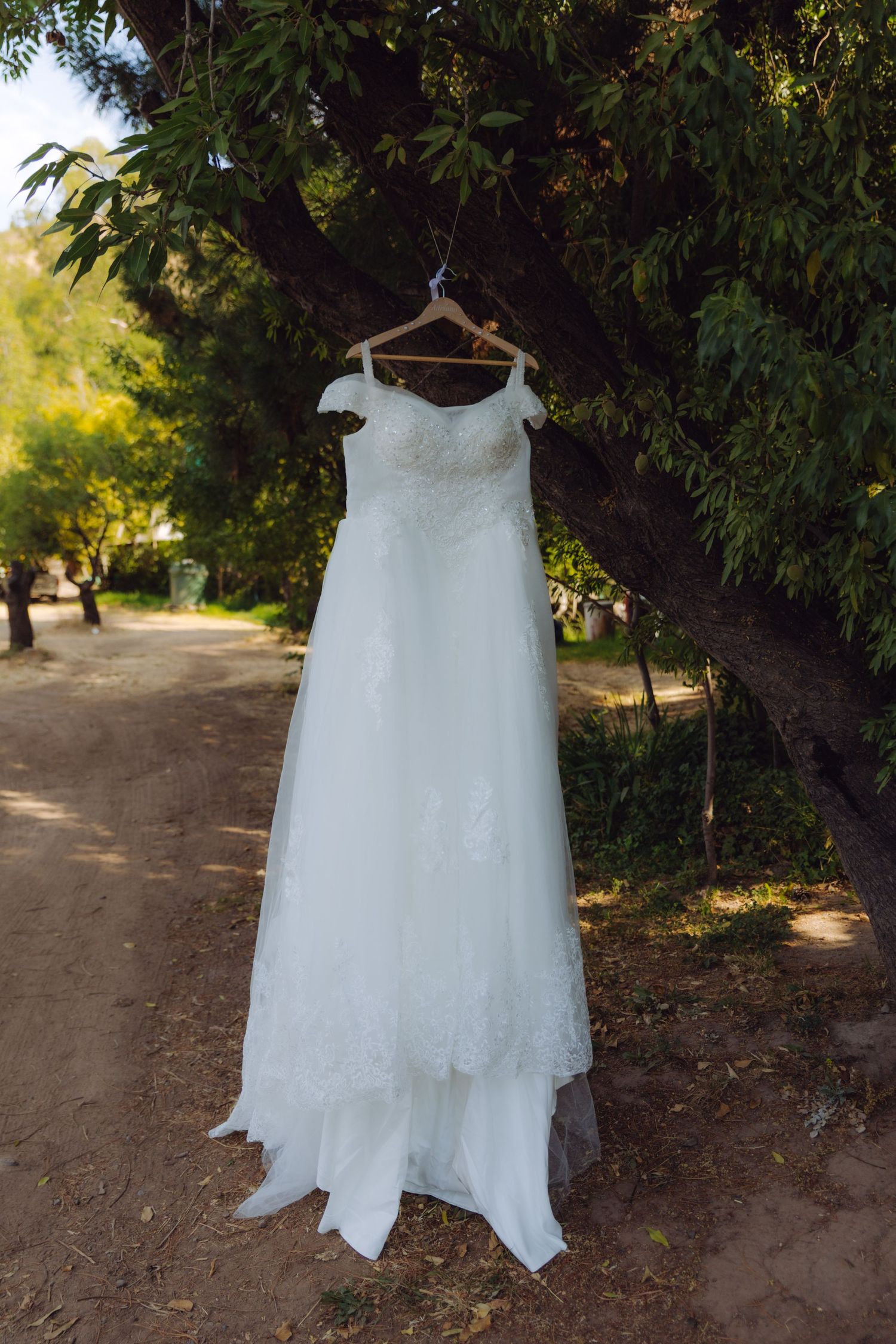 White lace off-shoulder wedding gown hanging on wooden hanger from tree branch outdoors in sunlight.