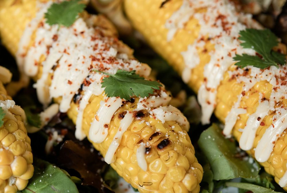 Grilled Mexican street corn elote topped with cotija cheese, chili powder, and fresh cilantro leaves.
