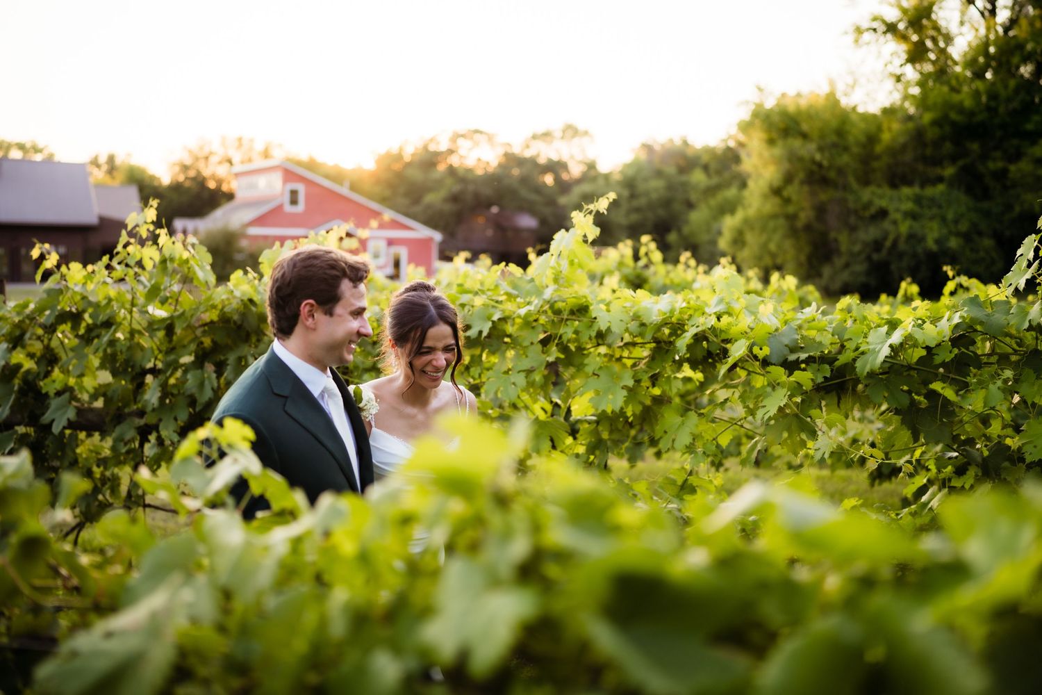 Couple smiling together among lush green vineyard rows at golden hour sunset.