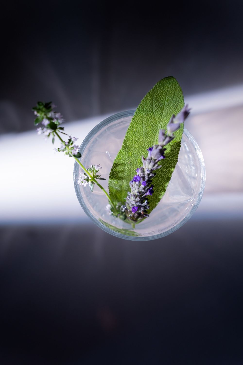 Overhead view of a clear glass cocktail garnished with fresh sage leaf and purple lavender sprigs on dark background.
