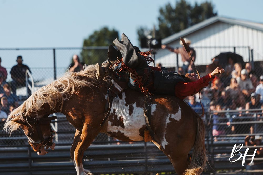 A rodeo cowboy rides a bucking brown and white paint horse at an outdoor rodeo event under clear skies.