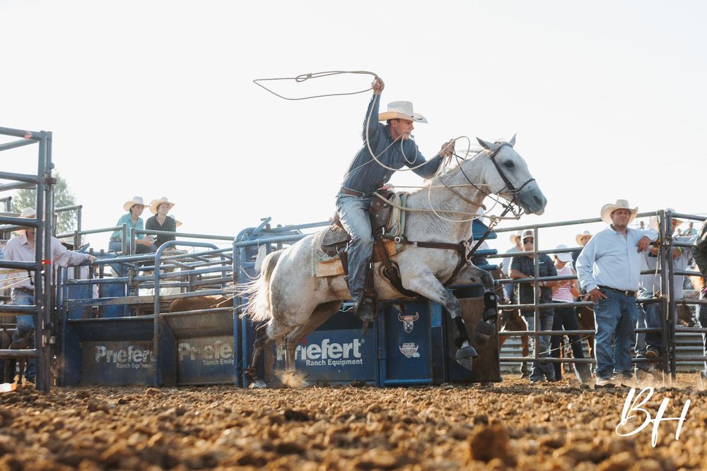 Cowboy riding a white horse at a rodeo, swinging a whip while the horse rears up near a fence.
