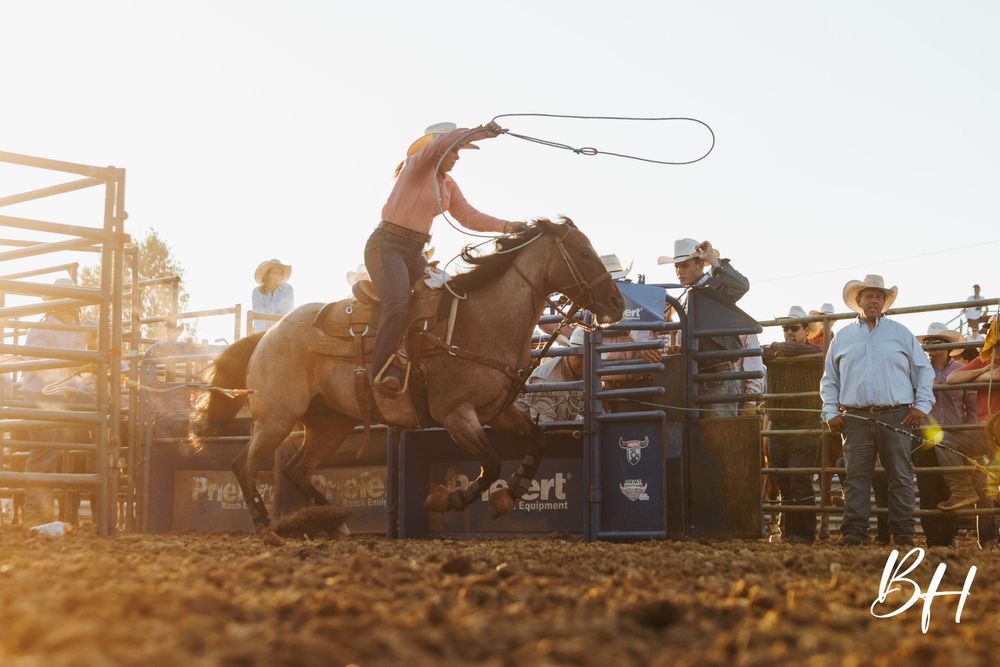 A cowboy rides a bucking bronco at a rodeo, swinging a lasso in golden sunset light.