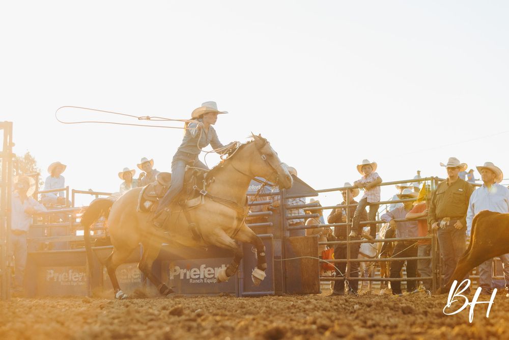 Cowboy on horseback swinging a lasso at a dusty rodeo event with spectators watching in golden sunset light.