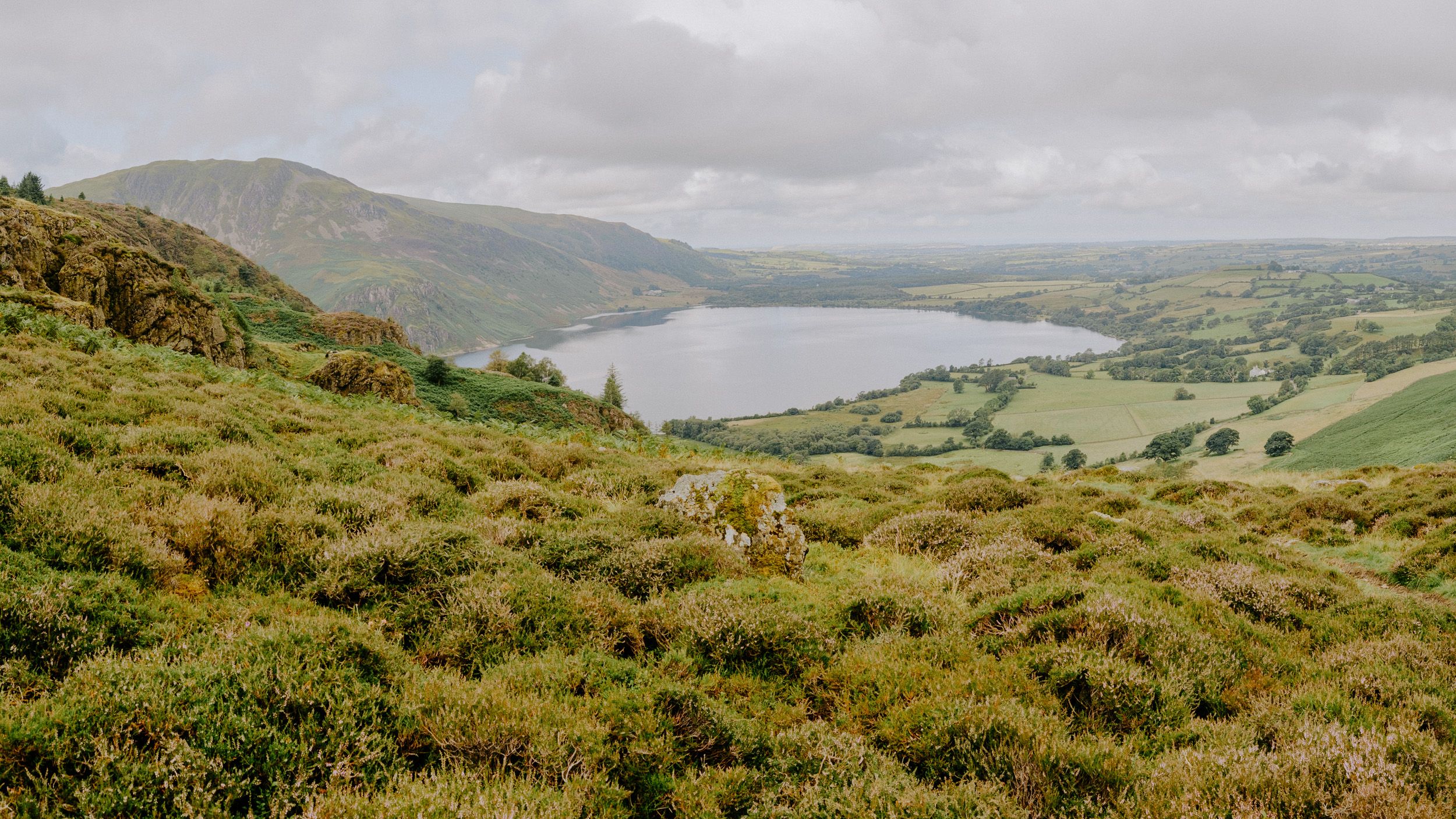 Scenic Irish landscape with heather-covered hills overlooking a calm lake and green valley under cloudy skies.
