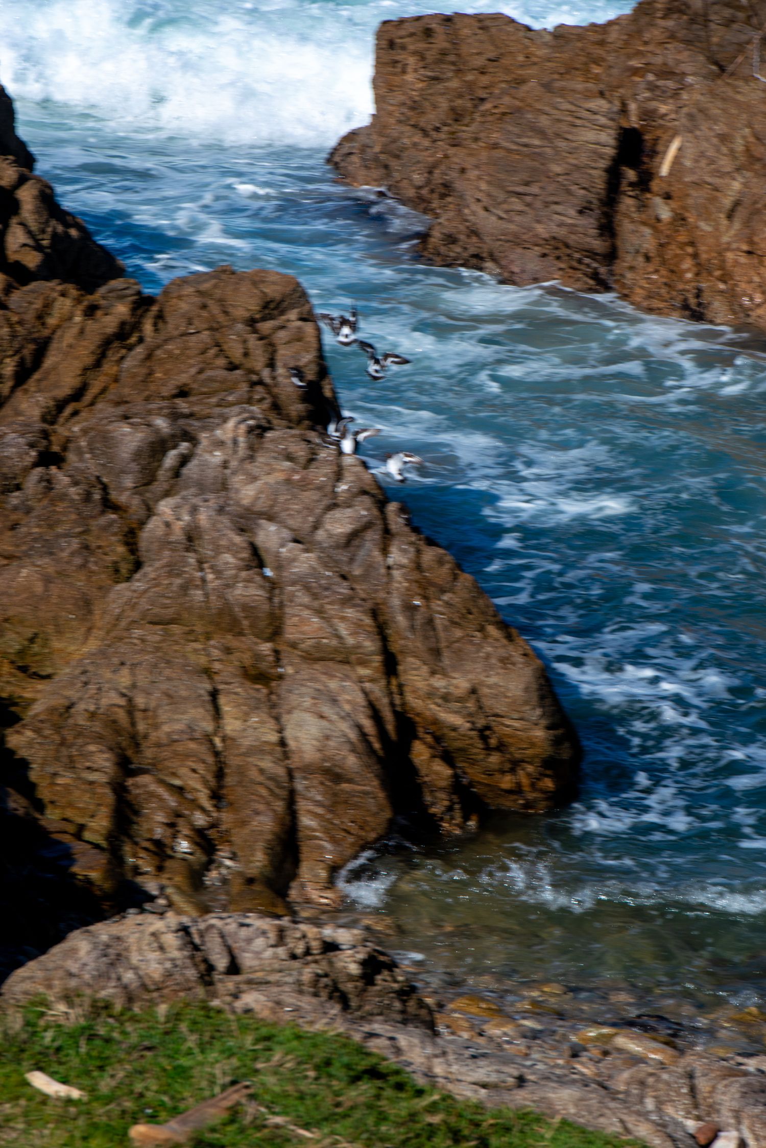 Rocky coastal cliffs with crashing ocean waves and seabirds perched on rugged brown rocks near the shoreline.
