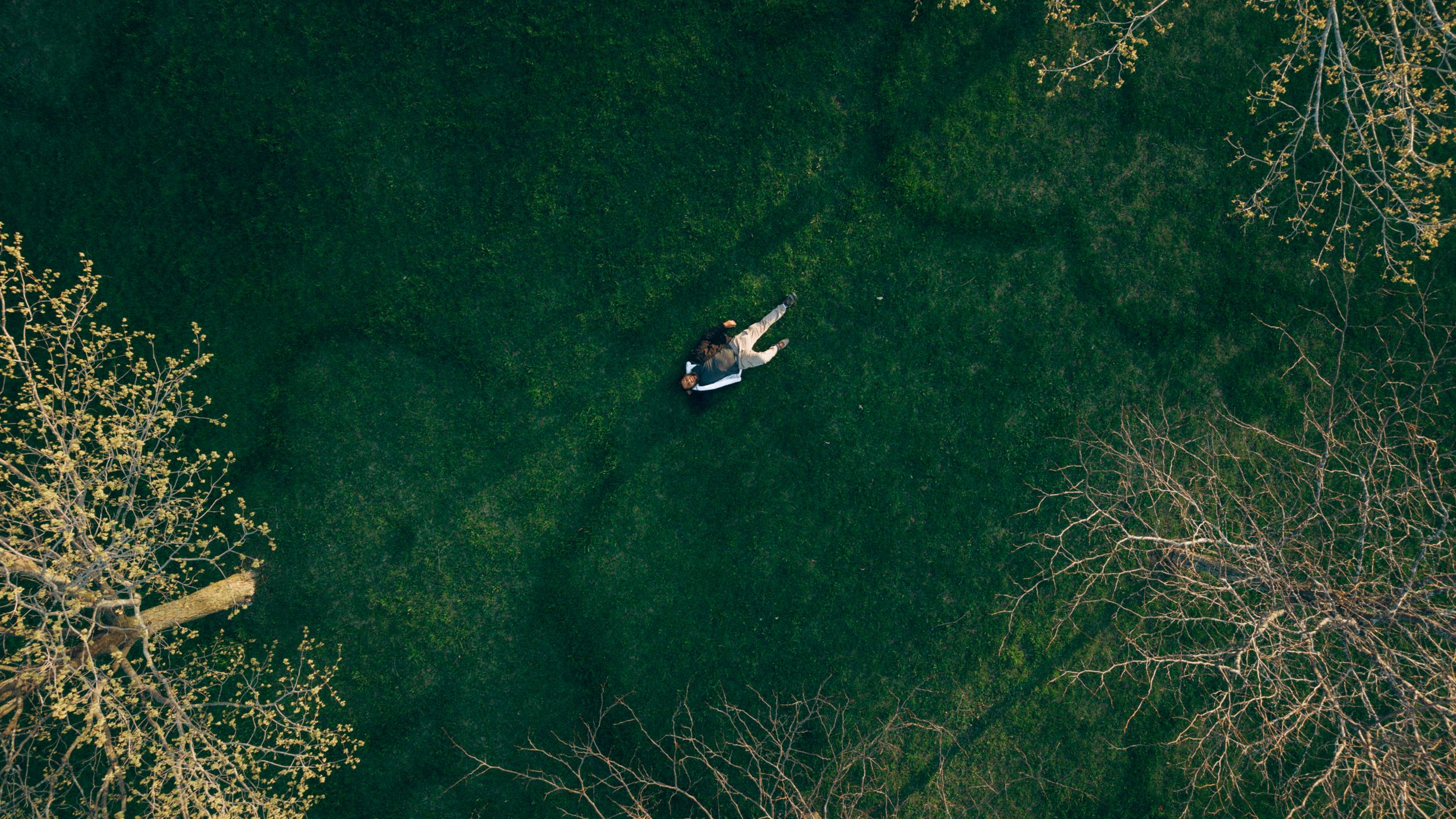 Drone view of Akash Patel lying in a green field