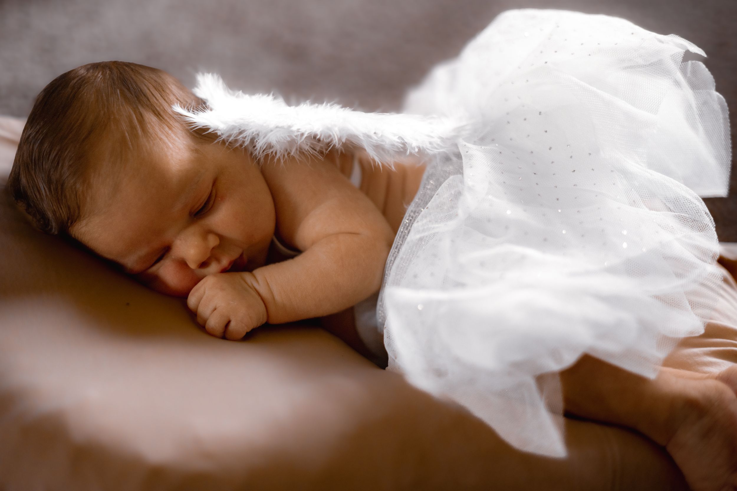 Newborn baby sleeping peacefully dressed as an angel with white wings and tulle skirt in a soft studio portrait.