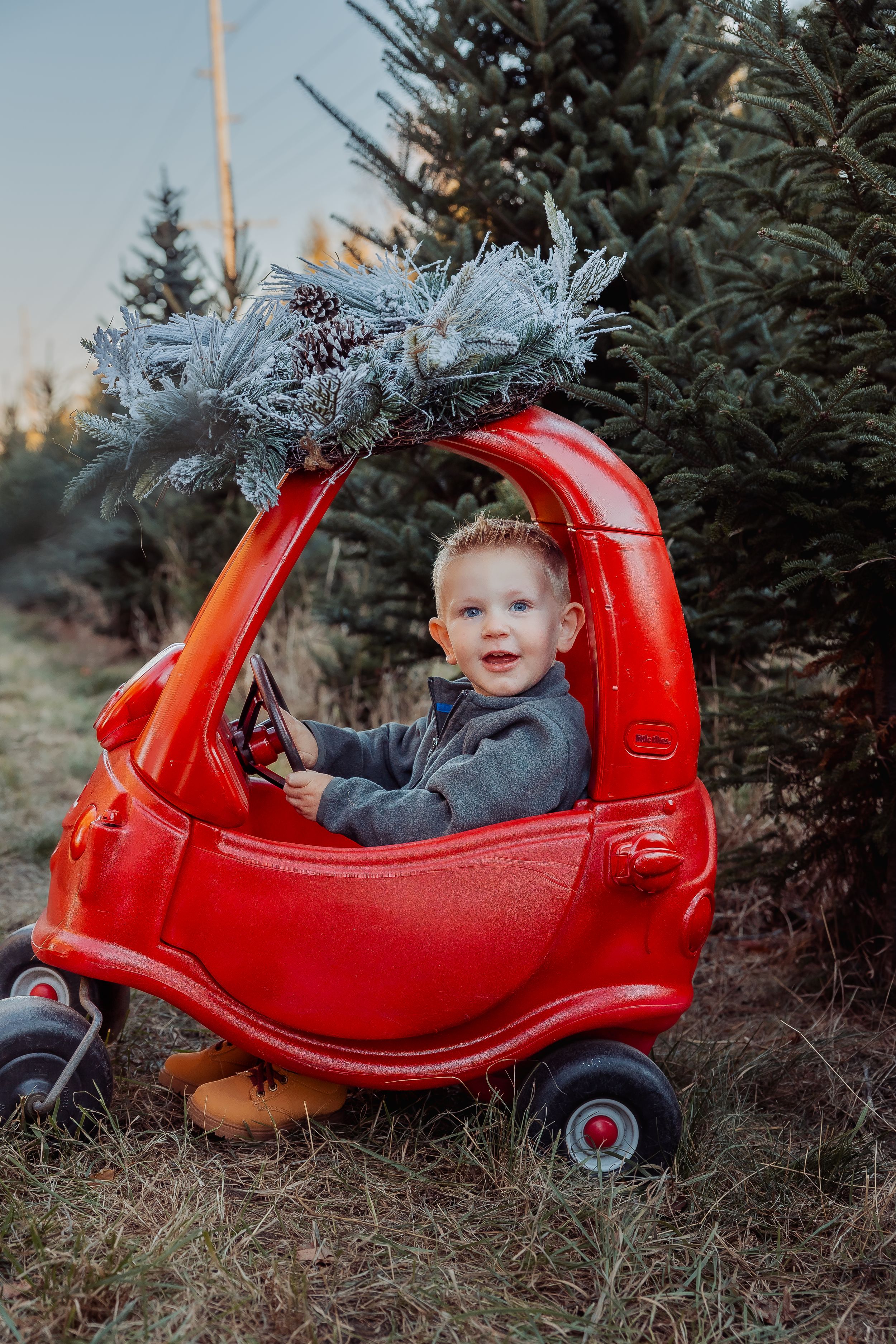 Young boy sits in red toy car at Christmas tree farm with festive snowy greenery on top.