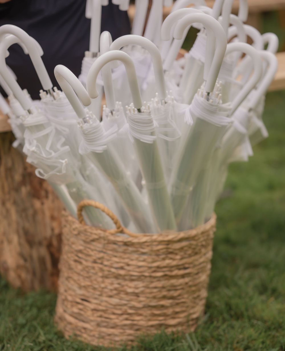White transparent umbrellas with lace trim displayed in a rustic rope basket on green grass.