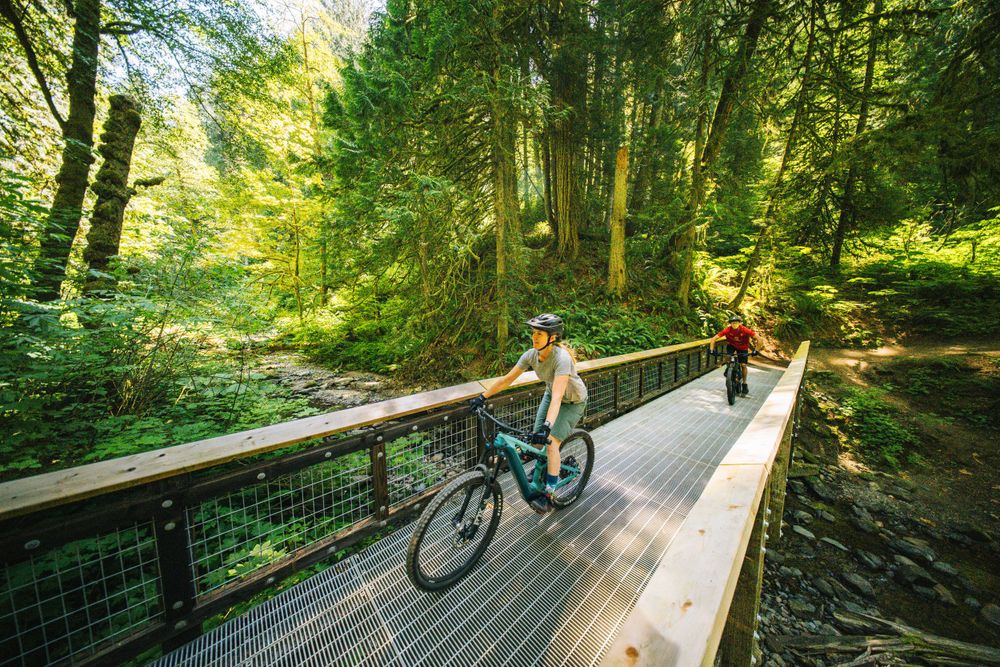 Mountain bikers riding on wooden bridge through lush green forest on scenic trail.