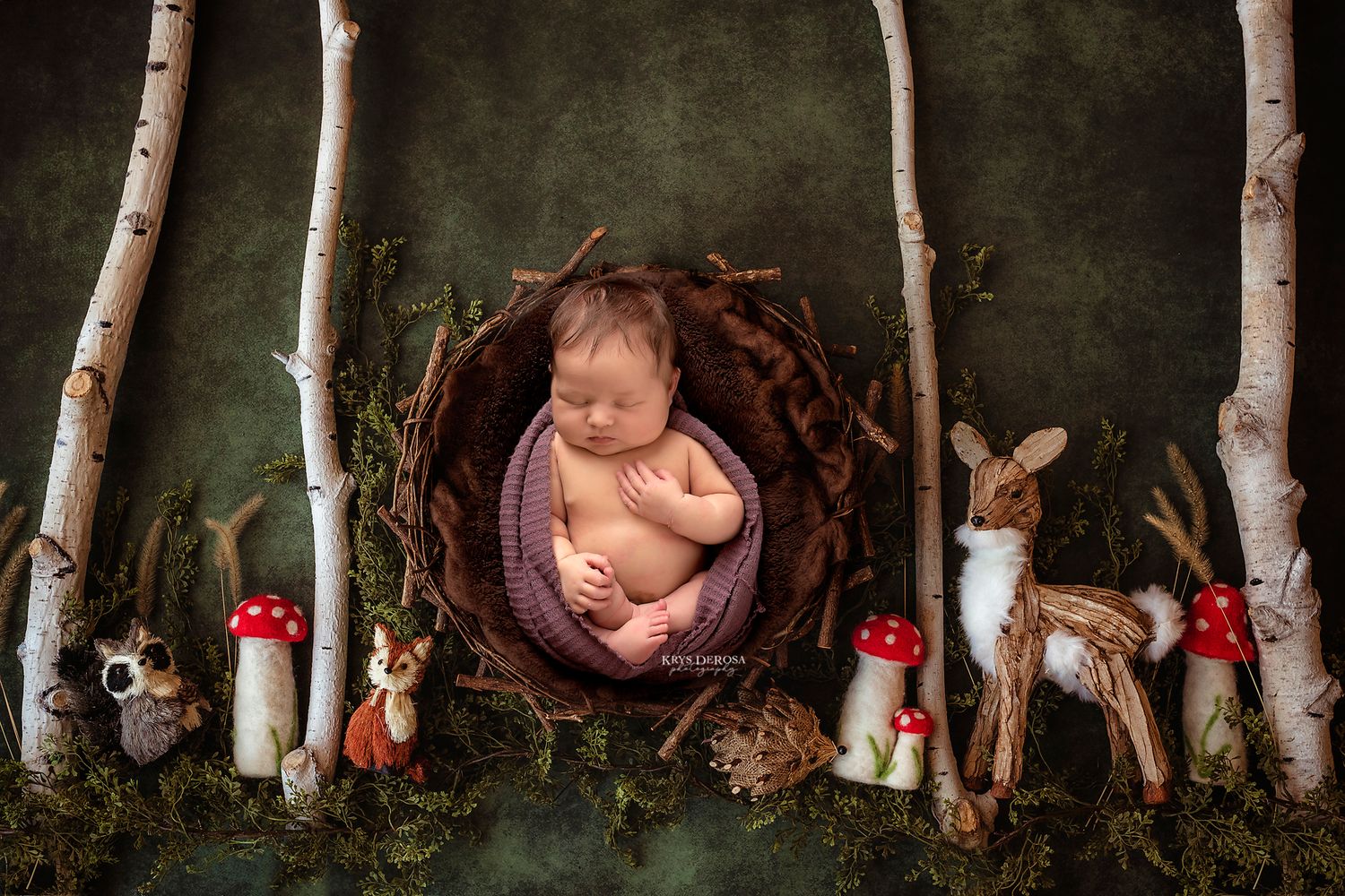 Newborn baby sleeping in a bird's nest surrounded by woodland animals, mushrooms, and birch trees in an enchanted forest setting.