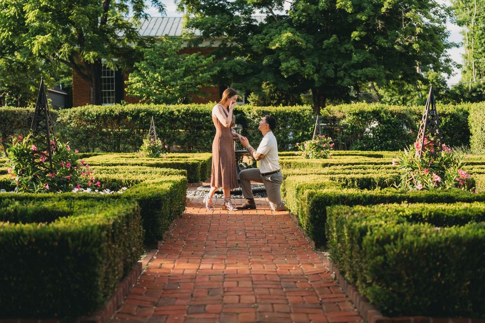 Man proposing to woman on brick path in formal garden with manicured hedges and roses on sunny day.