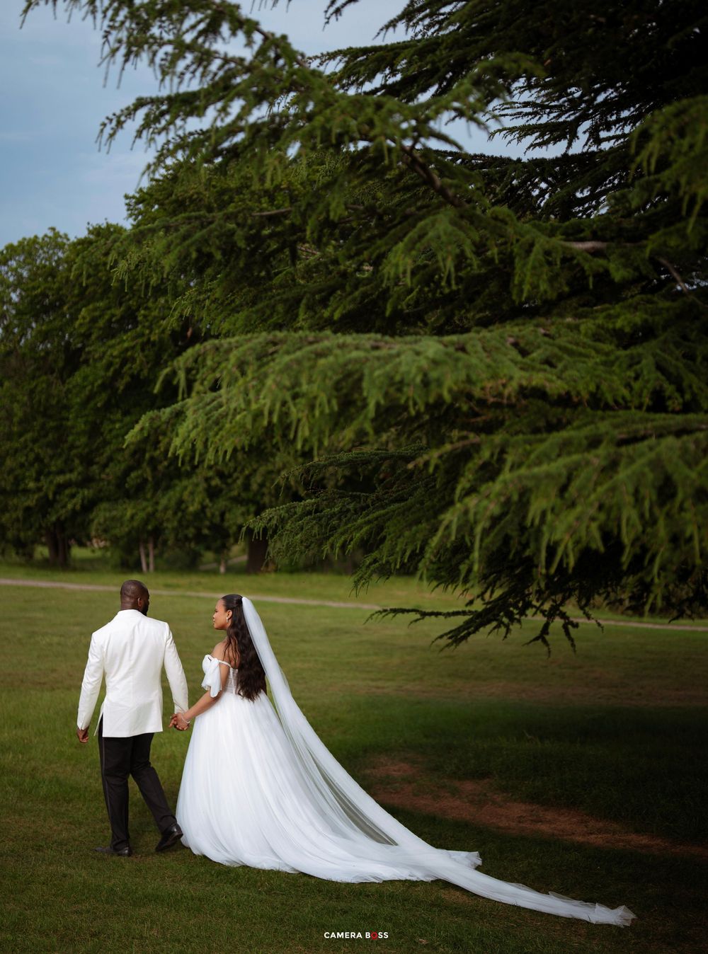 Bride and groom walking hand in hand across lush green lawn with stunning cathedral veil trailing behind, large cedar tree backdrop.