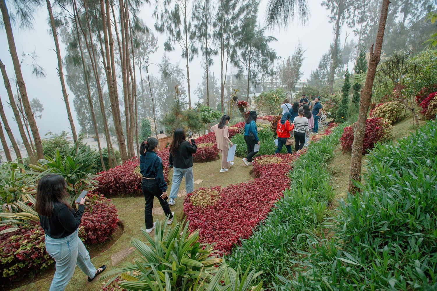 Tourists exploring a lush hillside garden with red foliage and tall trees in a misty landscape.