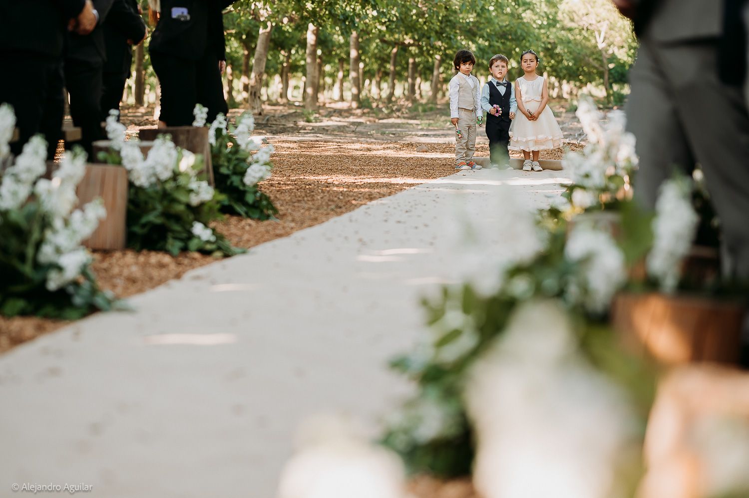 Children walk down a flower-lined outdoor wedding aisle surrounded by trees in a garden ceremony.