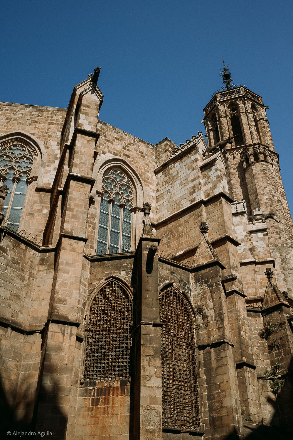 Gothic stone cathedral with ornate rose window, pointed arches, and tower against clear blue sky.