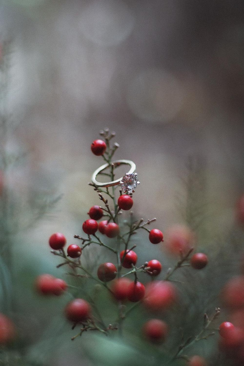 Detalle de anillo en frutillas rojas