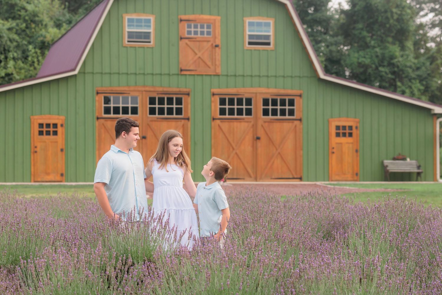 Family of three walking through lavender fields in front of a green barn.