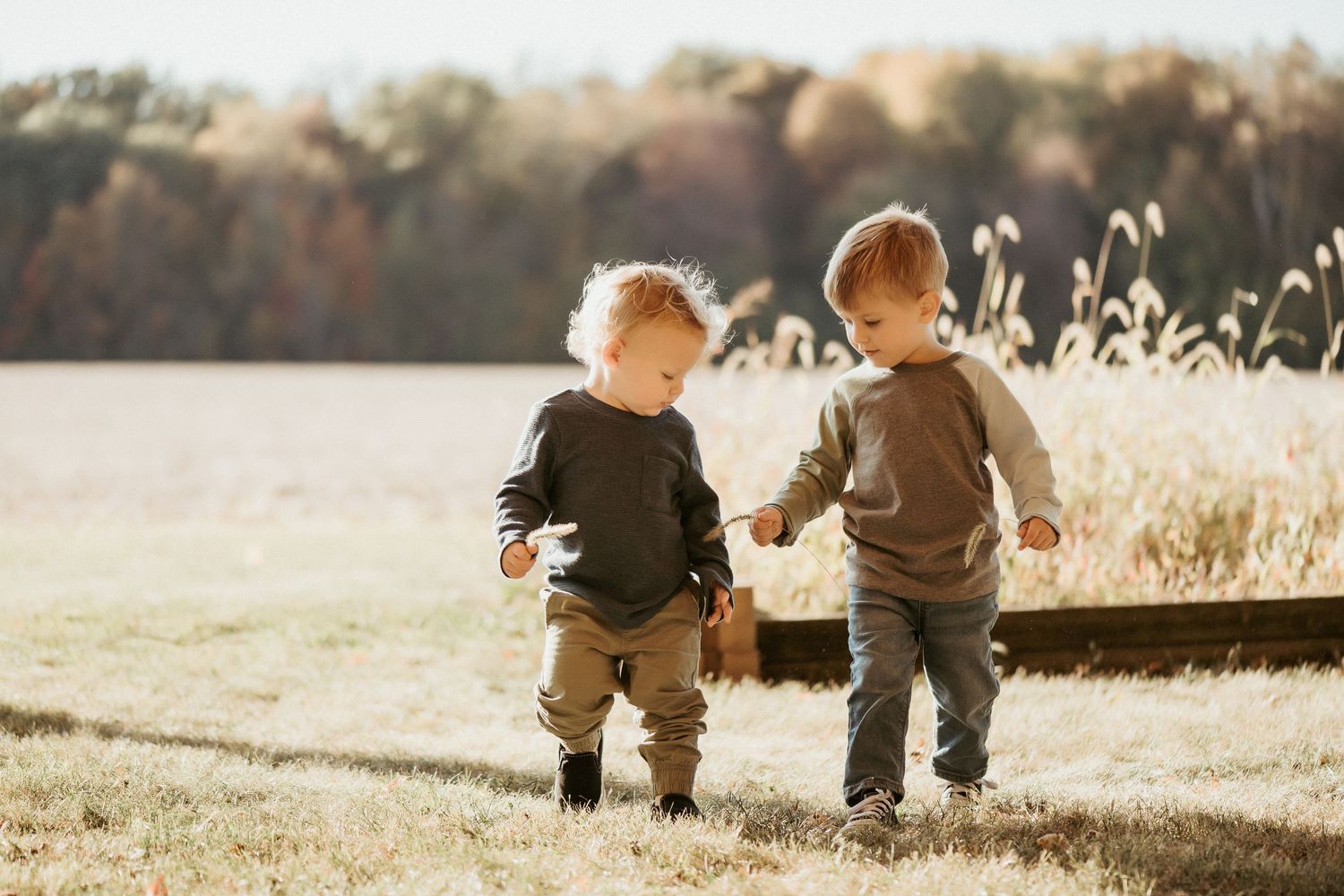 Two young children hold hands while walking together in a sunlit field at sunset with tall grass and trees.