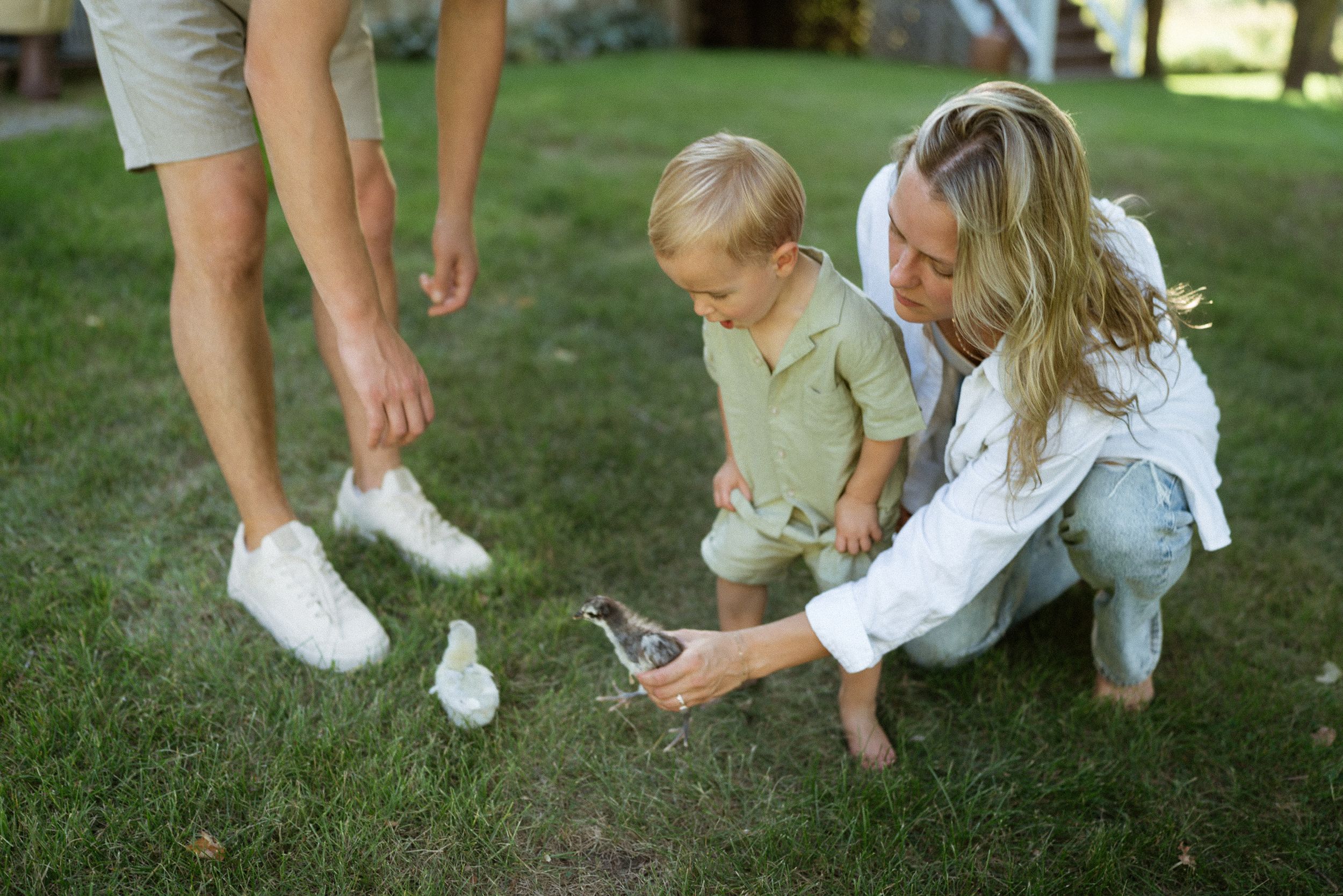 Garden vibes, outdoors, sunset, golden hour, family in the grass, family love, warmth, laughter, family, animals, baby, toddler, candid