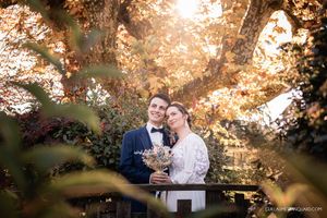 Golden sunset light filtering through autumn trees creating a warm romantic atmosphere.