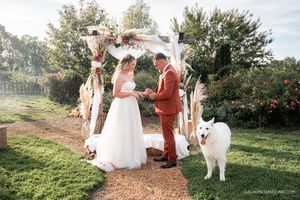 Wedding ceremony under a floral arch with a white dog present in a garden setting.