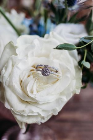Diamond engagement ring nestled in the petals of a white garden rose.