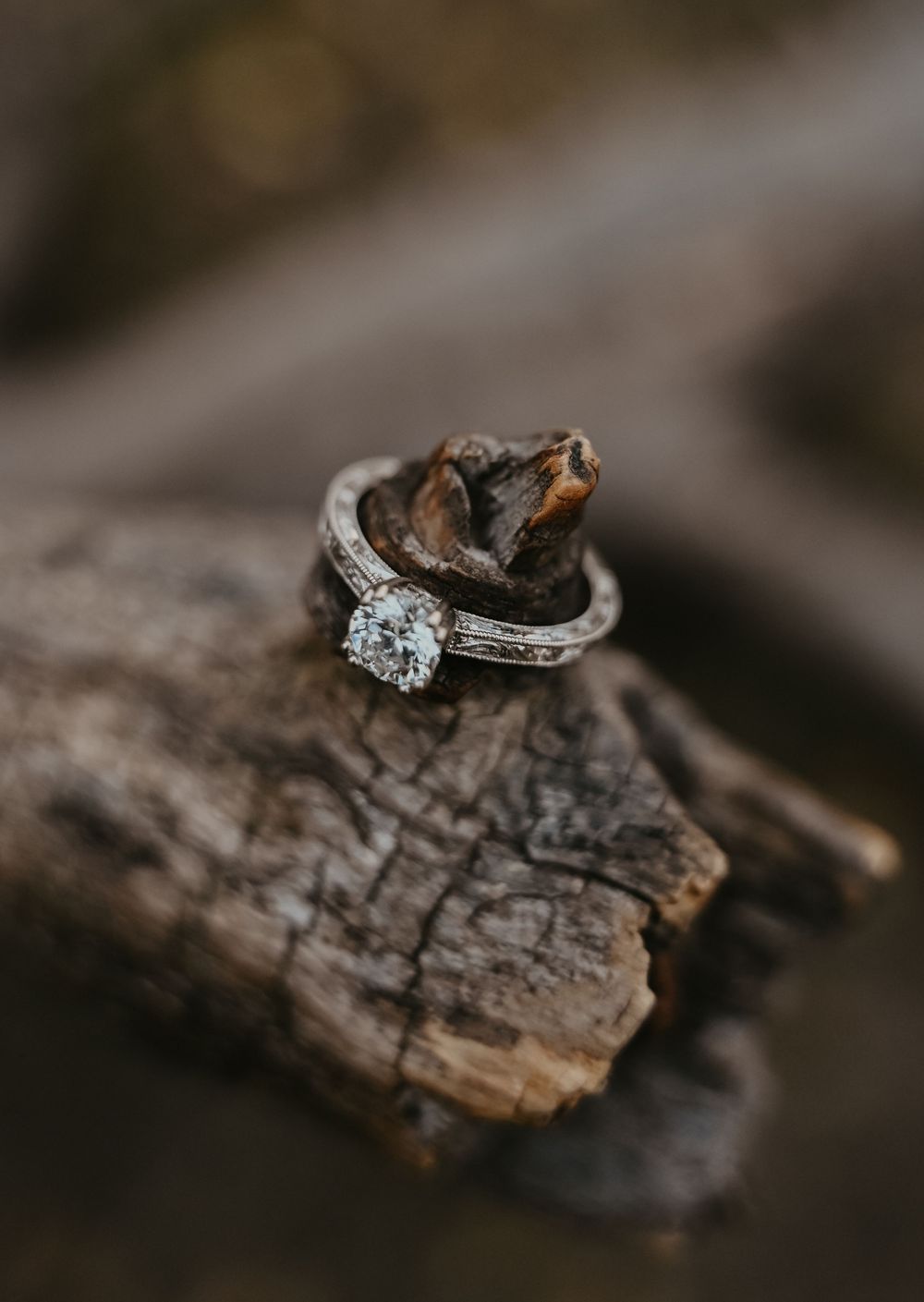 Diamond engagement ring sparkles elegantly while resting on weathered wood in natural lighting.