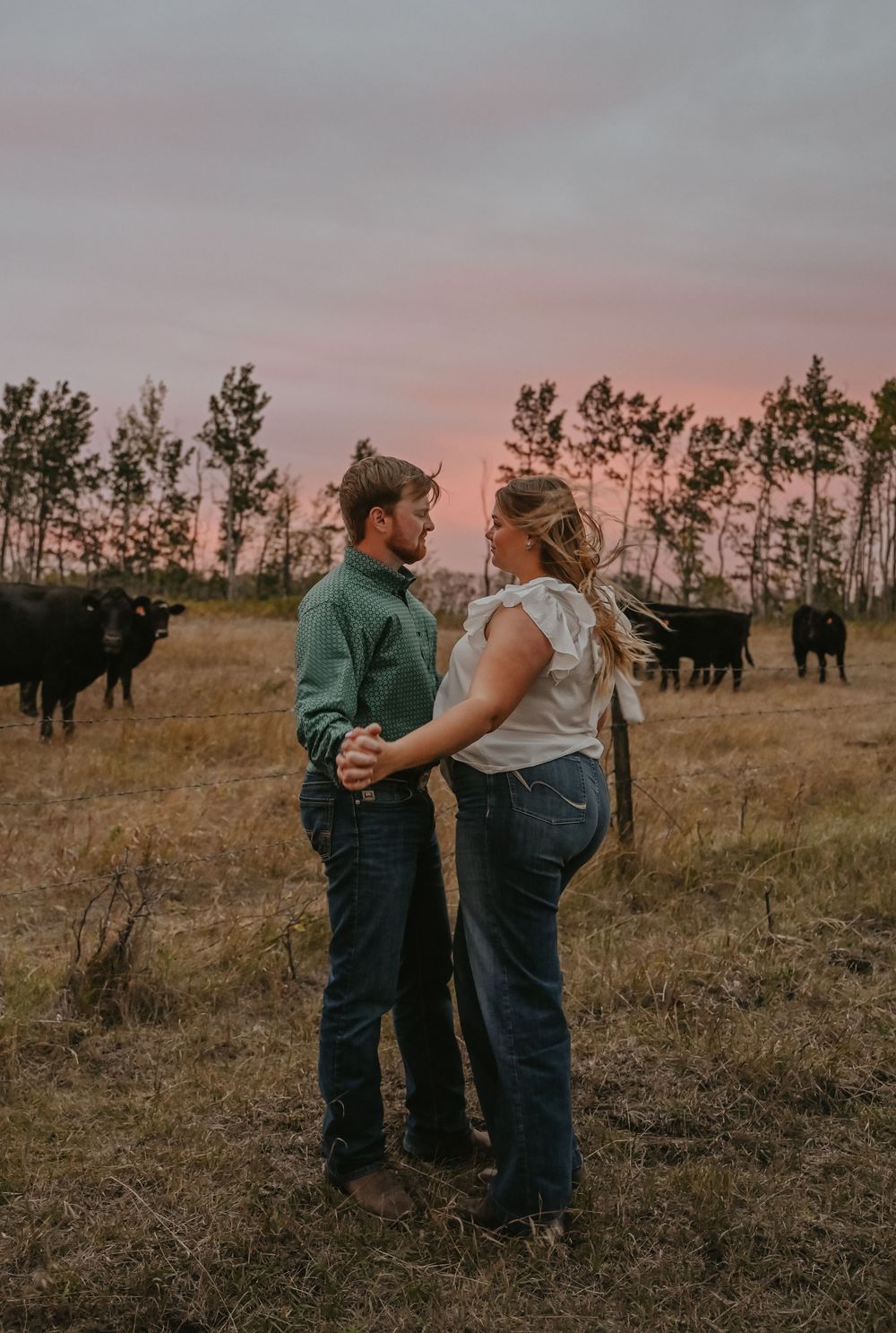 A couple embraces in a field at sunset with silhouetted trees and cattle grazing in the background.