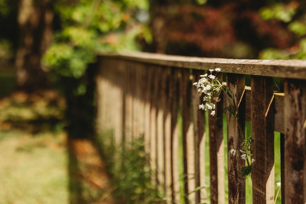 Small white wildflowers grow along a wooden fence railing in a dreamy bokeh garden setting.