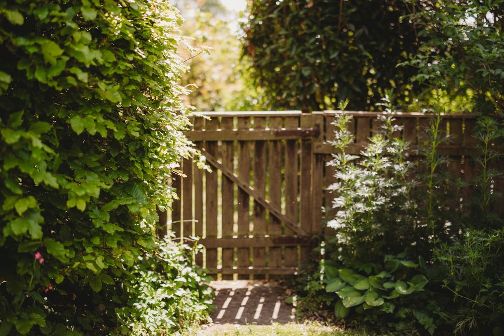 A rustic wooden fence surrounded by lush green foliage and trees in a backyard garden setting.