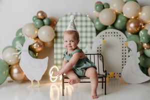 A smiling baby in a green romper sits in a mini crib surrounded by sage green and gold balloon garland decor.