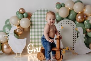 A baby boy sits on a wooden toy horse surrounded by green and gold balloons and duck decorations for a first birthday.