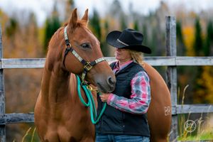 horse and rider