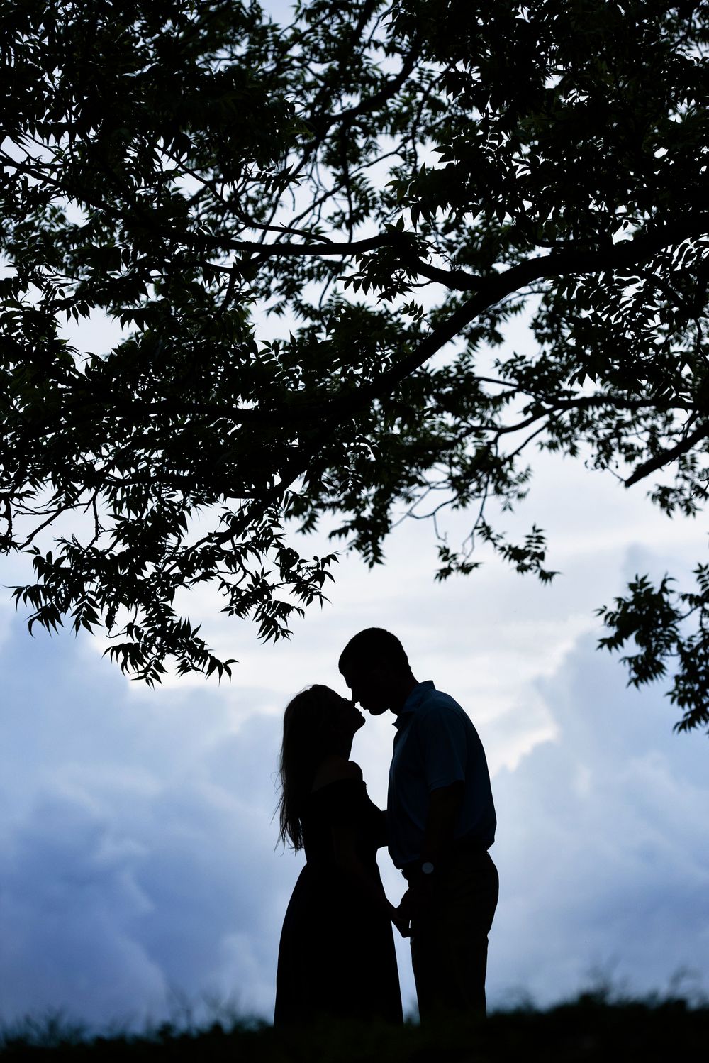 A romantic silhouette of a couple embracing under tree branches against a moody blue sky.