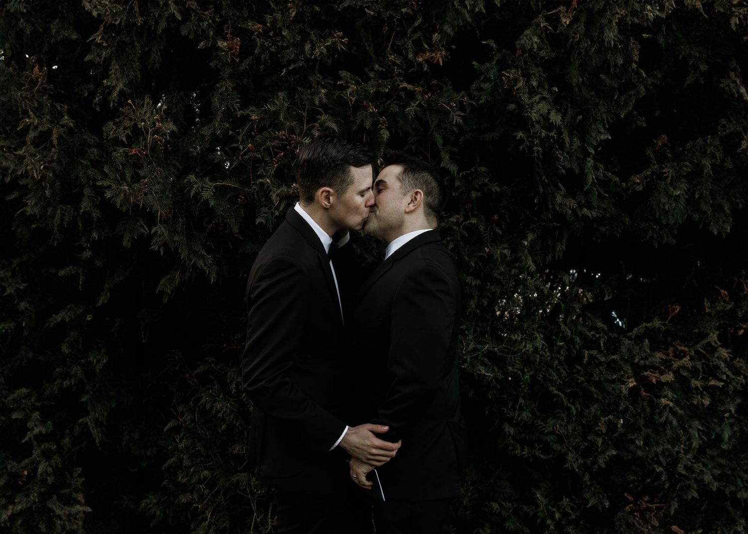 Two grooms in black suits sharing a kiss in front of a lush dark green foliage wall. Bittersweet Farm Westport Ma. Miranda Photo & Co