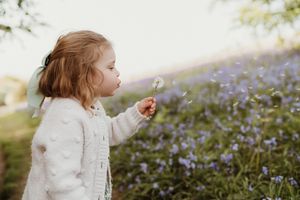 Child exploring a beautiful field of purple wildflowers at sunset.