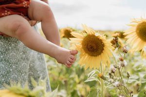 Baby's bare feet dangle near bright yellow sunflowers in a summer garden field.
