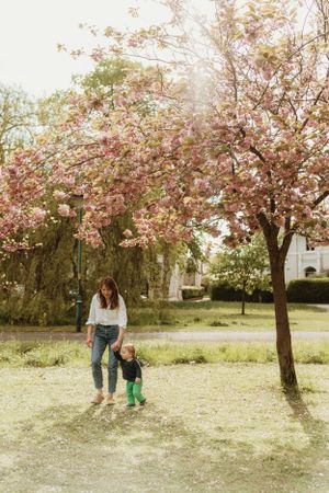 A family enjoys springtime under blooming cherry blossom trees in a park setting.