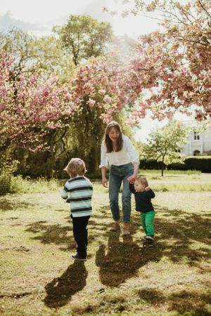 Family walking under blooming cherry blossom trees on sunny spring day.